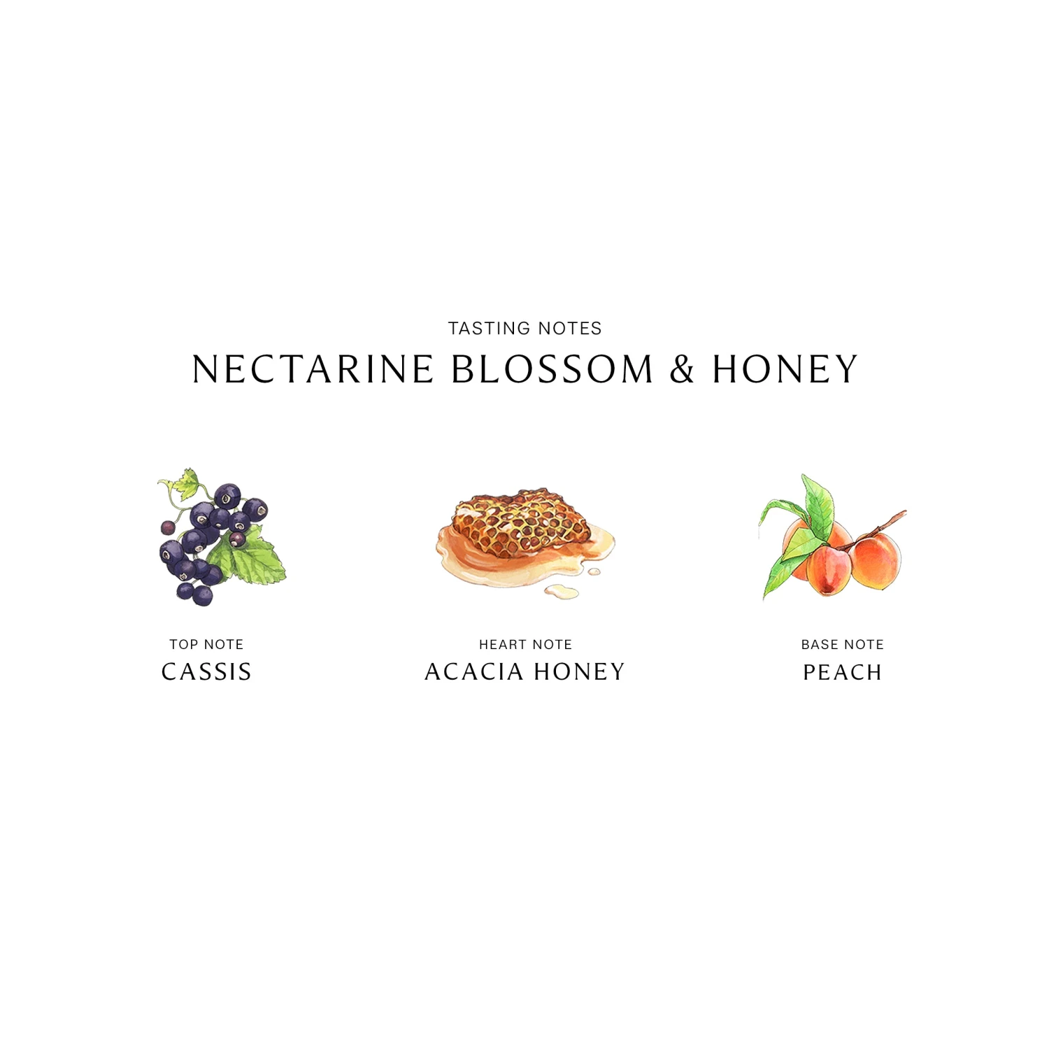 Nectarine Blossom & Honey Cologne 11 Nectarine Blossom & Honey Cologne - Image 9