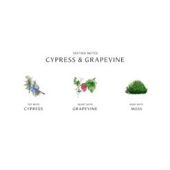 Cypress & Grapevine Cologne Intense -Lanvin Paradise 690251122233 alt2