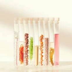 Refillable Restorative Eye Crème -Lanvin Paradise 813269025826 4 1