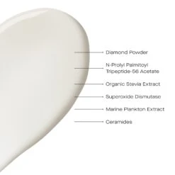 The Return Eye Concentrate -Lanvin Paradise 850022804489 alt2