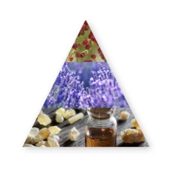 Creed Viking Cologne 100Ml 9 Creed Viking Cologne 100Ml -Lanvin Paradise 871854001617 4